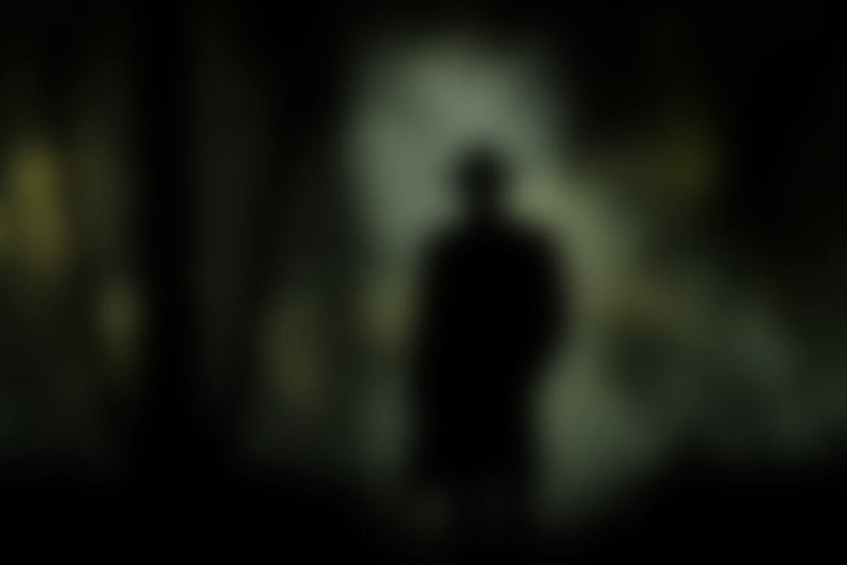Фотография квеста Мистические джунгли от компании IMAGO quest (Фото 1)